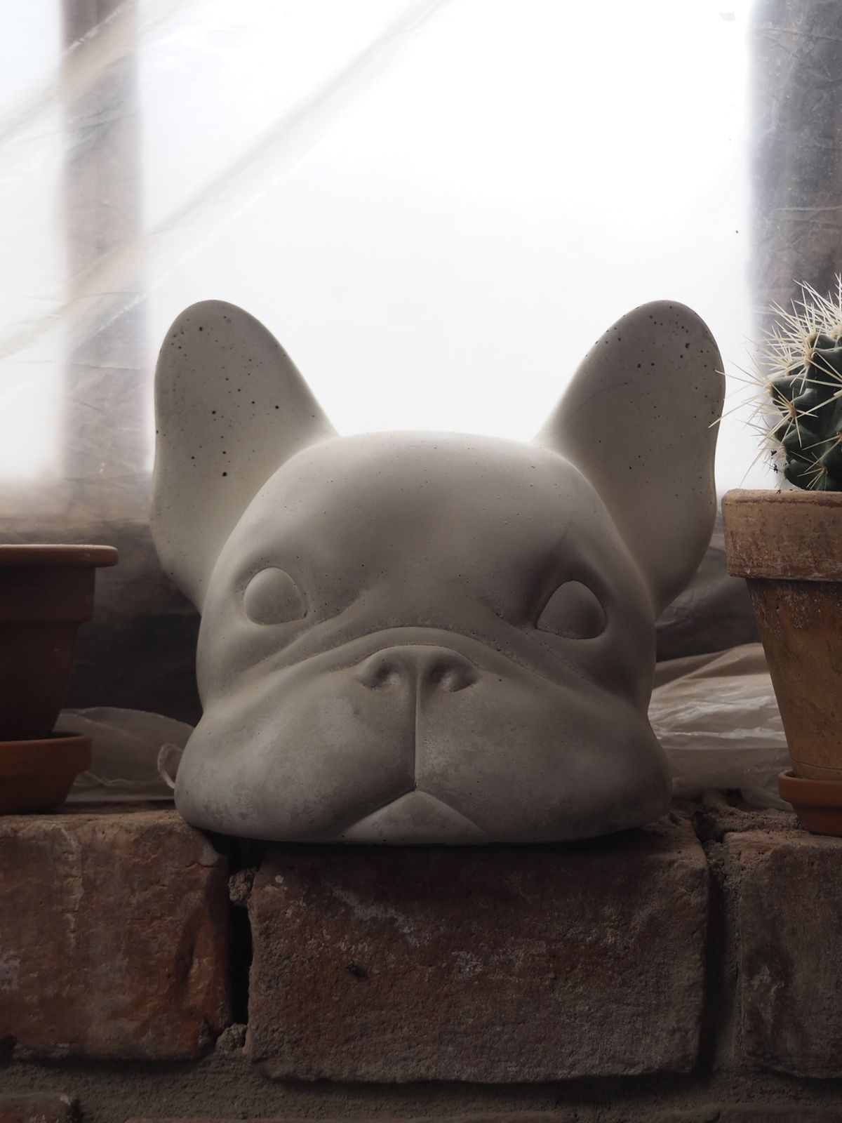 Concrete Bulldog