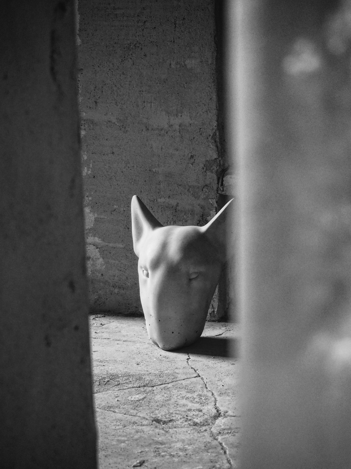Bullterrier Beton