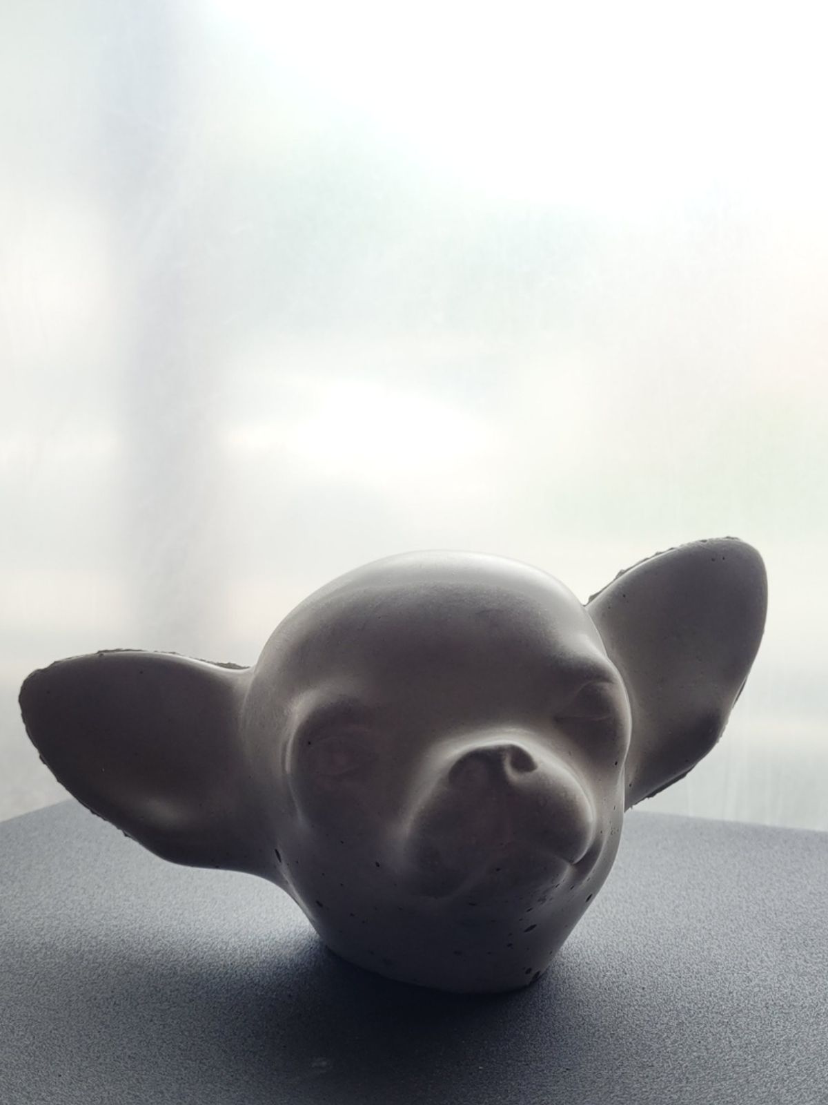 Chihuahua