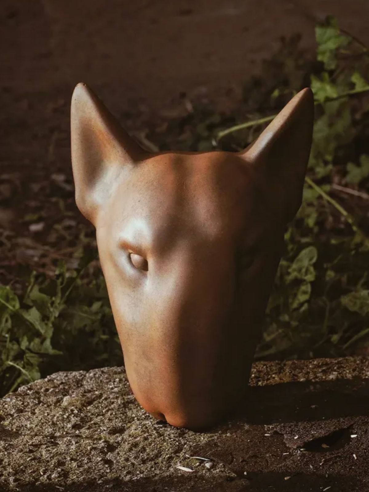 Rusty bullterrier